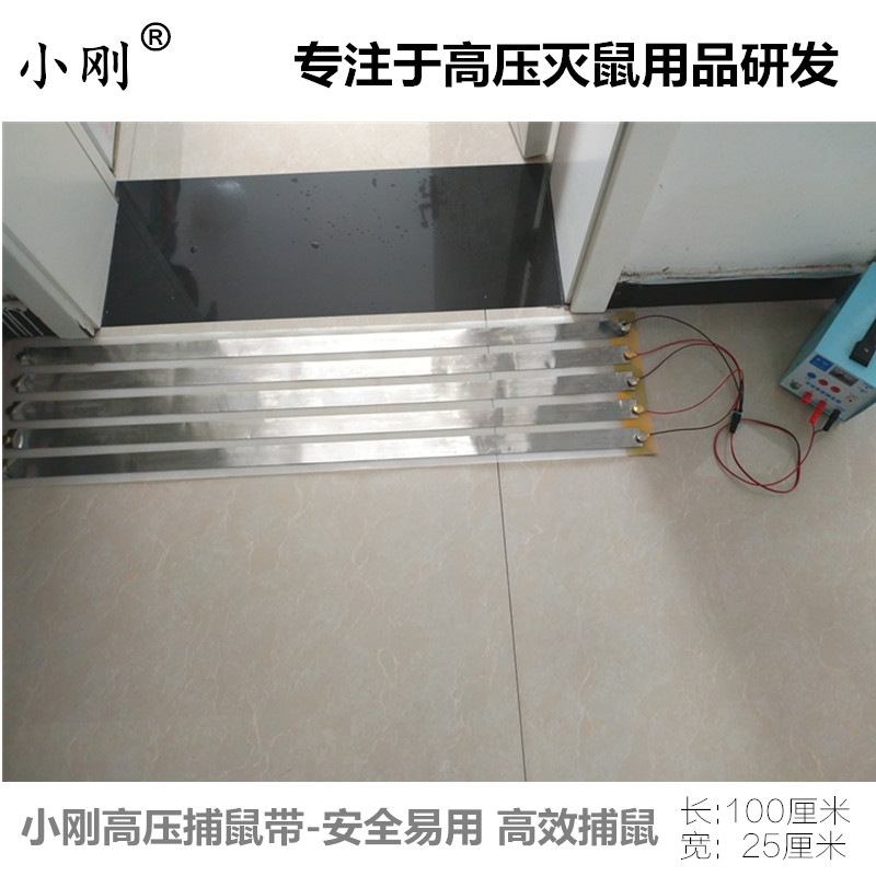 讓天下沒有難滅的老鼠記：小剛電子捕鼠帶